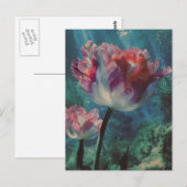 Carte Postale Tulipe sous-marine (Devant / Derrière)