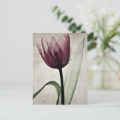 Carte Postale Tulipe vintage X-Ray (Debout devant)
