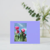Carte Postale Tulipes (Debout devant)