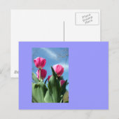 Carte Postale Tulipes (Devant / Derrière)