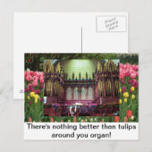 Carte Postale Tulipes (Devant / Derrière)