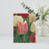 Carte Postale Tulipes (Debout devant)