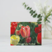 Carte Postale Tulipes (Debout devant)