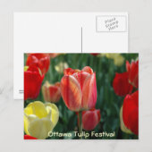 Carte Postale Tulipes (Devant / Derrière)