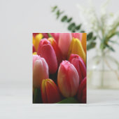 Carte Postale Tulipes (Debout devant)