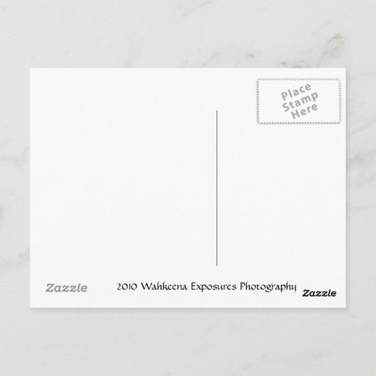 Carte Postale Tulipes (Dos)