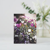 Carte Postale Tulipes (Debout devant)