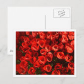 Carte Postale Tulipes (Devant / Derrière)