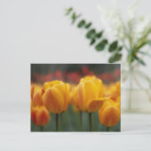 Carte Postale Tulipes 2 (Debout devant)
