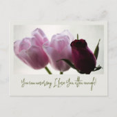 Carte Postale Tulipes 3258 (Devant)