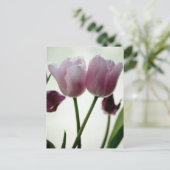 Carte Postale Tulipes 3259 (Debout devant)