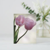 Carte Postale Tulipes 3265 (Debout devant)