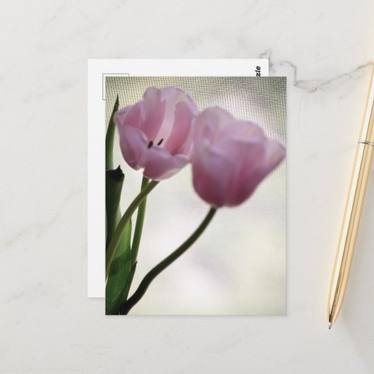 Carte Postale Tulipes 3265 (Devant/Arrière en situation)