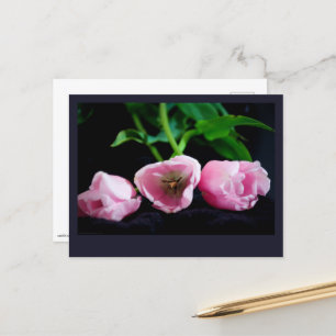 Carte Postale Tulipes 3273