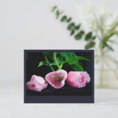 Carte Postale Tulipes 3273 (Debout devant)