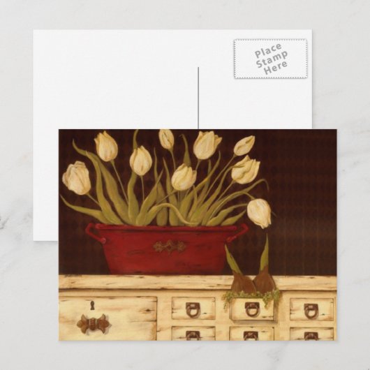 Carte Postale tulipes blanches (Devant / Derrière)