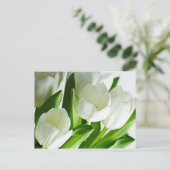 Carte Postale Tulipes blanches (Debout devant)