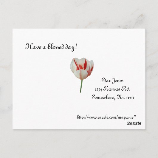 Carte Postale Tulipes blanches et rouges (Dos)