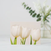 Carte Postale Tulipes blanches sur fond blanc, (Debout devant)
