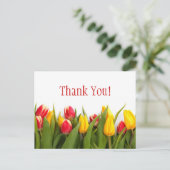 Carte Postale Tulipes colorées (Debout devant)