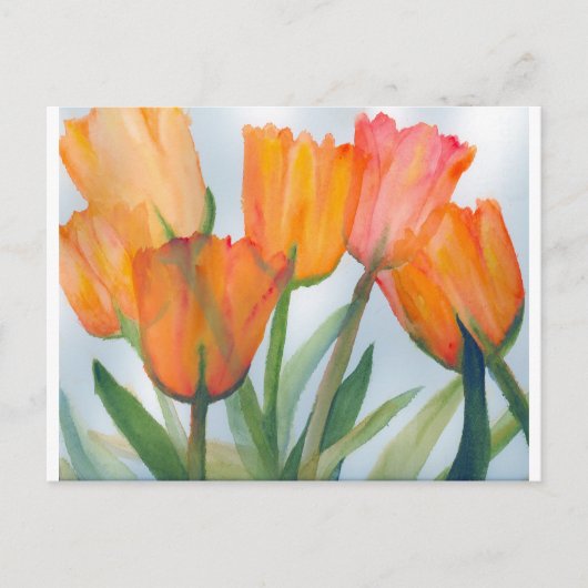 Carte Postale Tulipes d'agrumes orange (Devant)