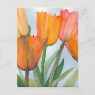 Carte Postale Tulipes d'agrumes orange