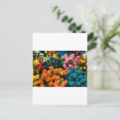Carte Postale Tulipes d'Amsterdam (Debout devant)