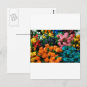 Carte Postale Tulipes d'Amsterdam (Devant / Derrière)