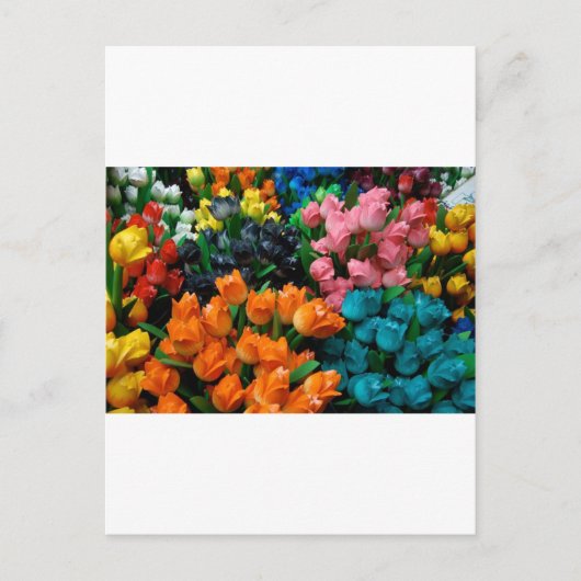 Carte Postale Tulipes d'Amsterdam (Devant)