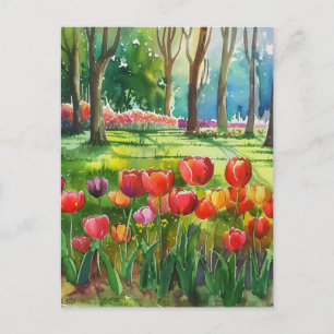 Carte Postale Tulipes dans le parc