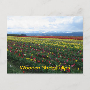 Carte Postale Tulipes de chaussures en bois