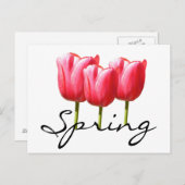 Carte Postale Tulipes de printemps (Devant / Derrière)