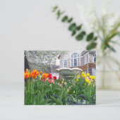 Carte Postale Tulipes de printemps (Debout devant)