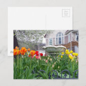 Carte Postale Tulipes de printemps (Devant / Derrière)