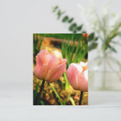Carte Postale Tulipes de printemps (Debout devant)
