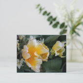 Carte Postale Tulipes d'or (Debout devant)