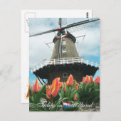 Carte Postale Tulipes en Hollande (Devant / Derrière)