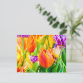 Carte Postale Tulipes Enchanteresses (Debout devant)