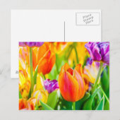 Carte Postale Tulipes Enchanteresses (Devant / Derrière)