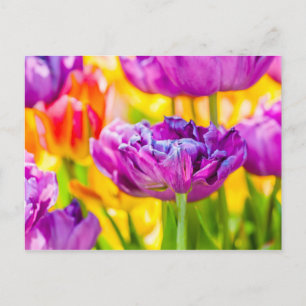 Carte Postale Tulipes Envoûtantes Rose Foncé