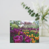 Carte Postale Tulipes fleurissant dans Forest Park Indiana (Debout devant)