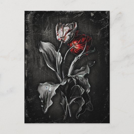 Carte Postale Tulipes gothiques (Devant)