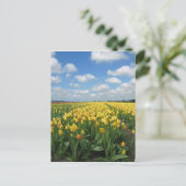 Carte postale Tulipes Jaunes (Debout devant)