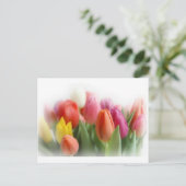 Carte Postale tulipes multicolores (Debout devant)