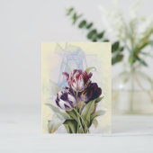 Carte Postale Tulipes néerlandaises (Debout devant)