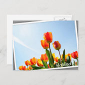 Carte Postale Tulipes orange et rouge du dessous (Devant / Derrière)