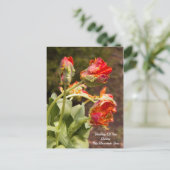 Carte Postale Tulipes Orange Perroquet Pensée Pour Vous (Debout devant)