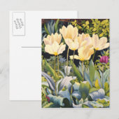 Carte Postale Tulipes pâles (Devant / Derrière)