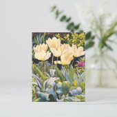 Carte Postale Tulipes pâles (Debout devant)