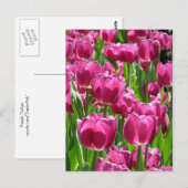 Carte Postale Tulipes pourpres (Devant / Derrière)
